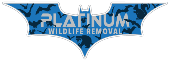 Wildlife Control Bloomington